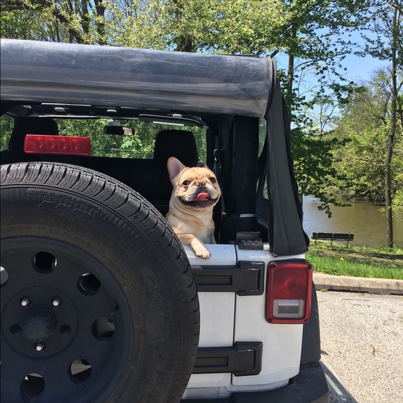 Meet your Posh Ambassador - Picture 8 of 9